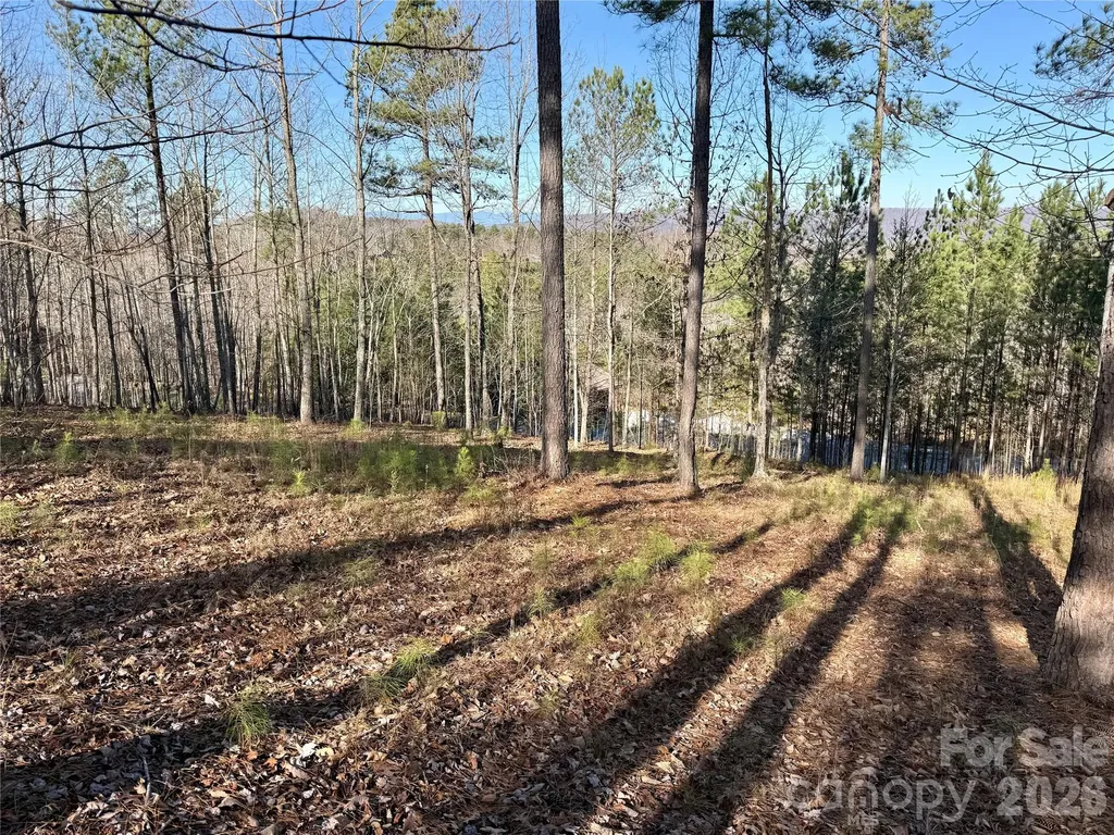 338 Grandview Peaks Drive Nebo NC 28761