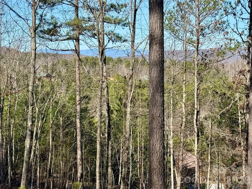 338 Grandview Peaks Drive Nebo NC 28761