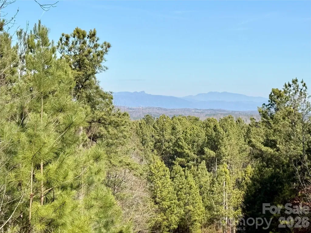338 Grandview Peaks Drive Nebo NC 28761