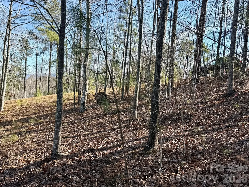 338 Grandview Peaks Drive Nebo NC 28761