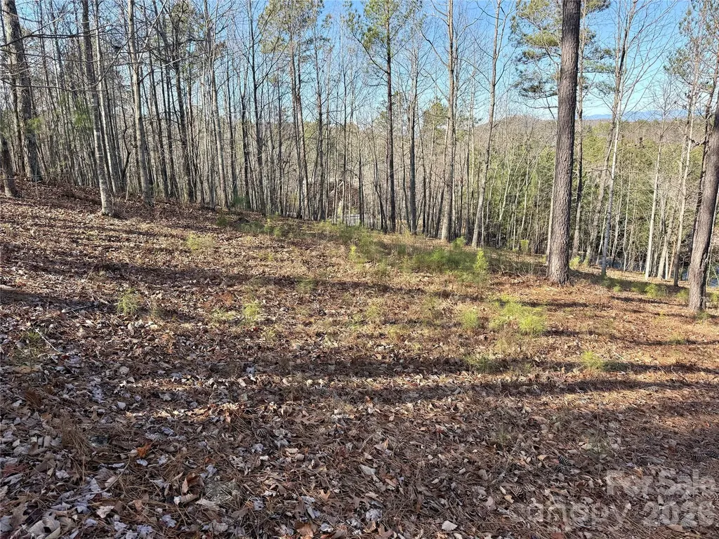 338 Grandview Peaks Drive Nebo NC 28761