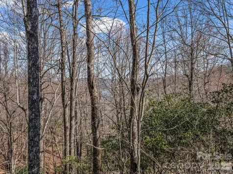 177 Tsisqua Circle Brevard NC 28712