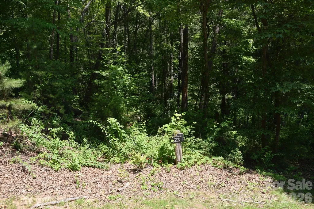 22 River Club Drive Cullowhee NC 28723
