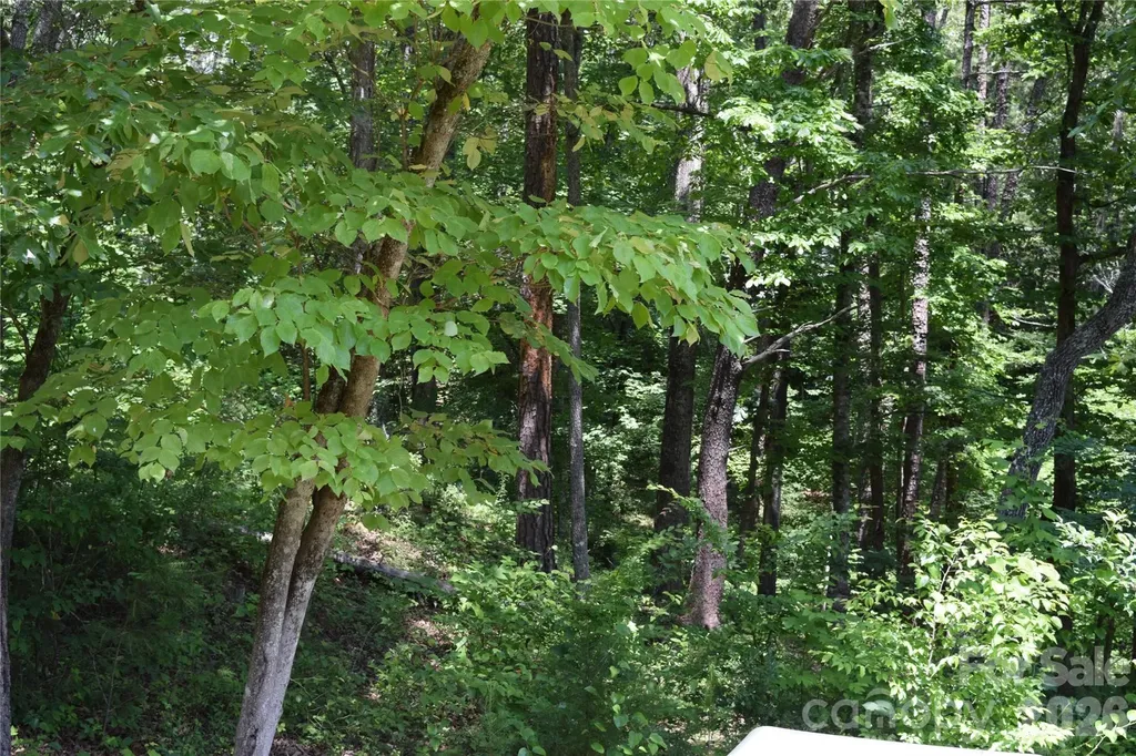 22 River Club Drive Cullowhee NC 28723
