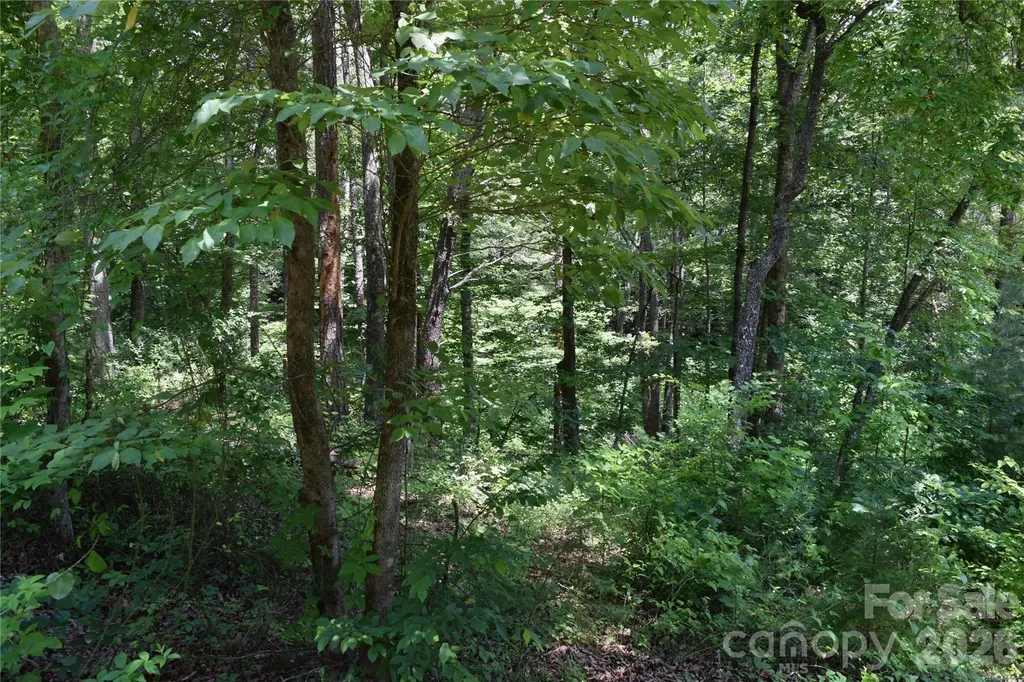 22 River Club Drive Cullowhee NC 28723