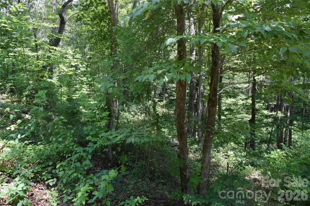 22 River Club Drive Cullowhee NC 28723