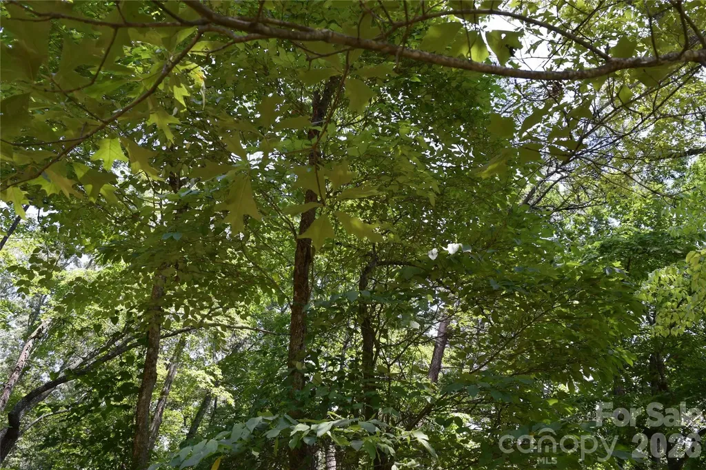 22 River Club Drive Cullowhee NC 28723