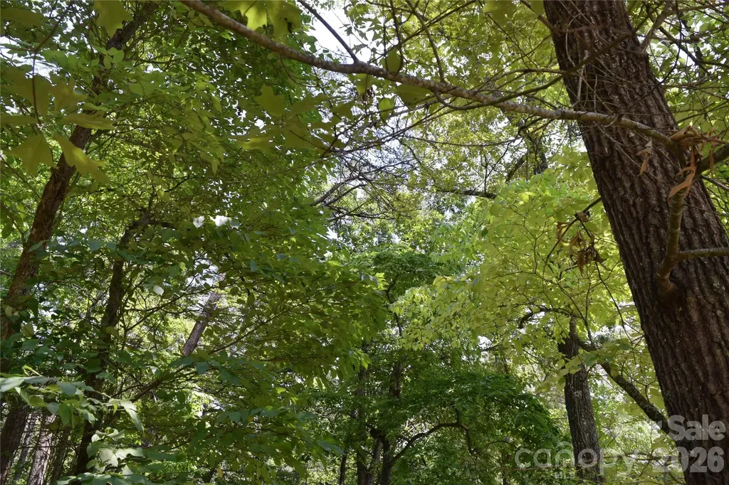 22 River Club Drive Cullowhee NC 28723