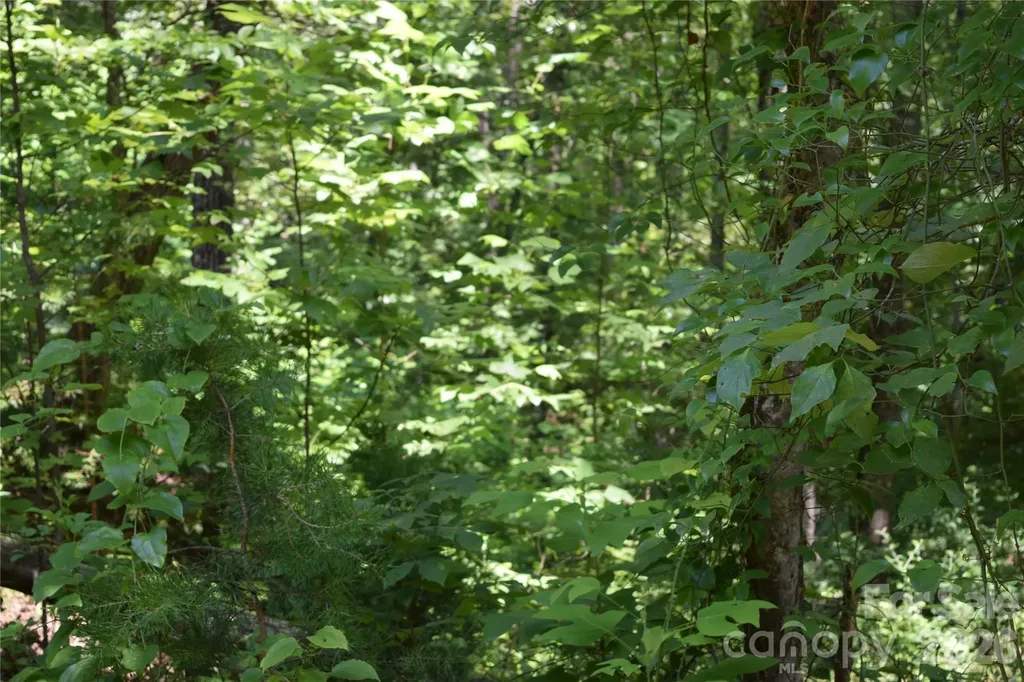 22 River Club Drive Cullowhee NC 28723