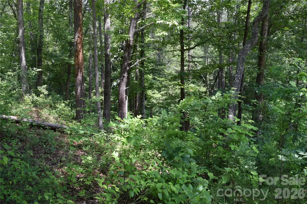 22 River Club Drive Cullowhee NC 28723