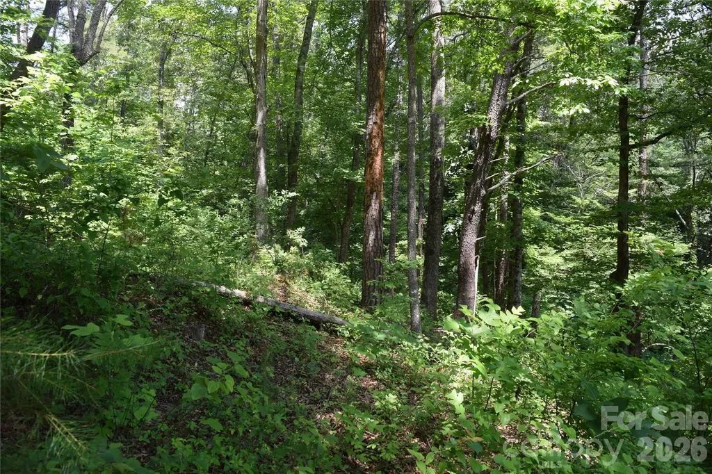 22 River Club Drive Cullowhee NC 28723