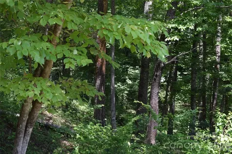 22 River Club Drive Cullowhee NC 28723