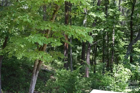 22 River Club Drive Cullowhee NC 28723