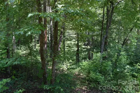 22 River Club Drive Cullowhee NC 28723
