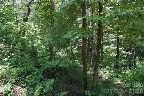 22 River Club Drive Cullowhee NC 28723