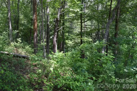 22 River Club Drive Cullowhee NC 28723