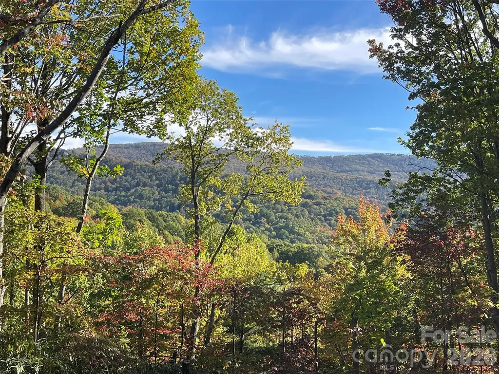 225 Oak Road Beech Mountain NC 28604