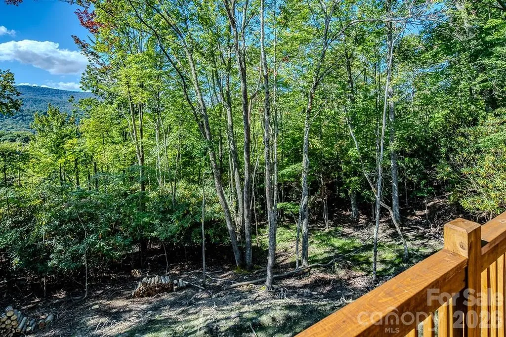 225 Oak Road Beech Mountain NC 28604