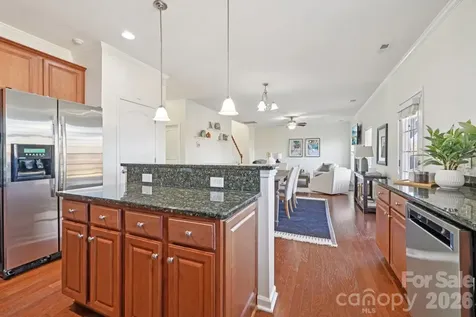 17319 Silas Place Drive Davidson NC 28036