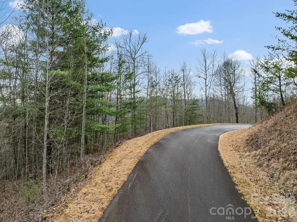 400 Pine Cone Trail Marshall NC 28753