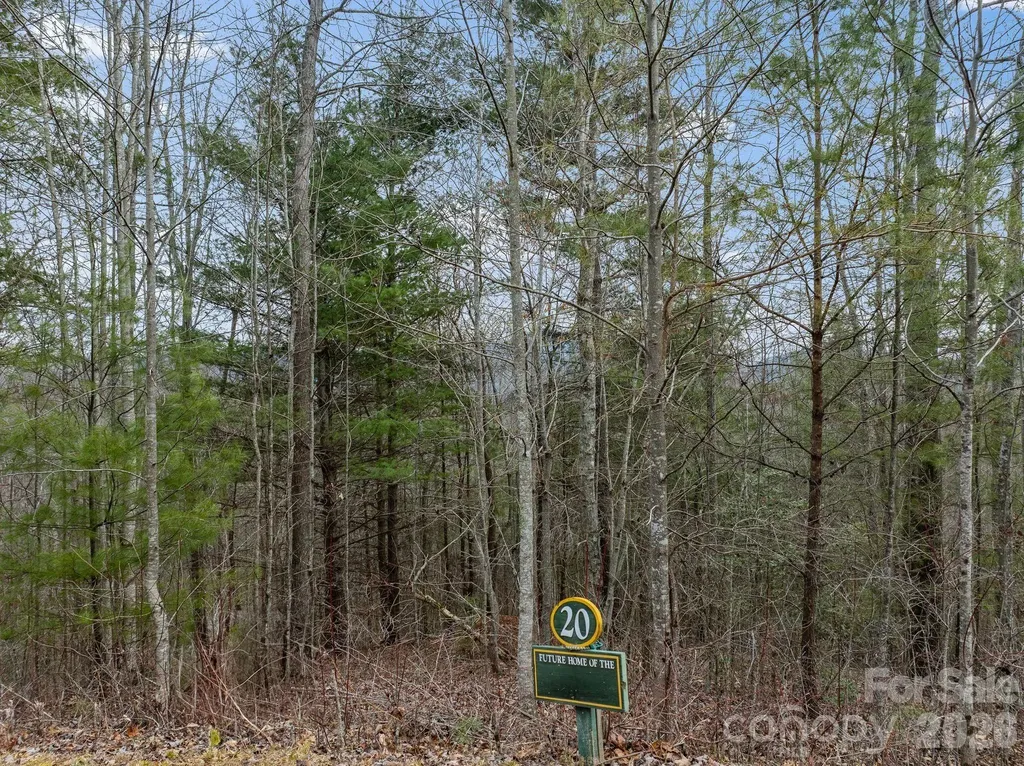 400 Pine Cone Trail Marshall NC 28753