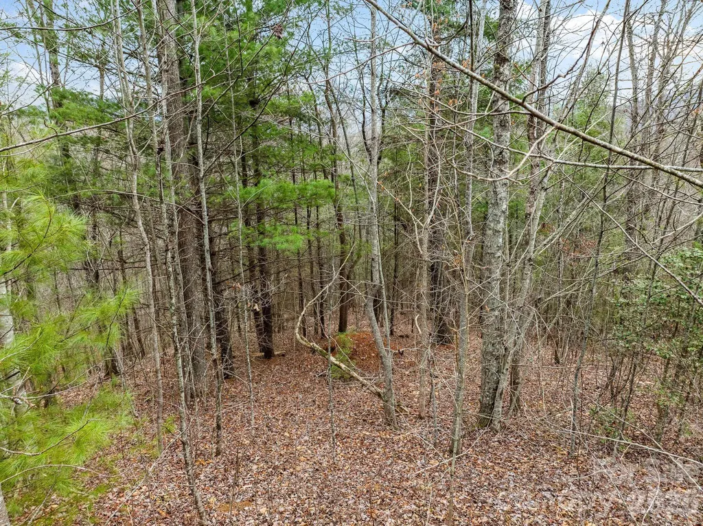 400 Pine Cone Trail Marshall NC 28753