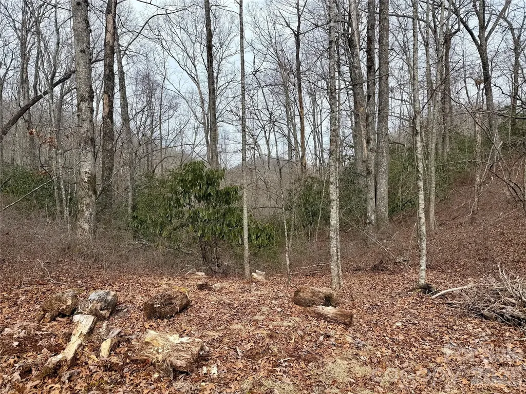 581 Hubbard Hollow Road Rosman NC 28772