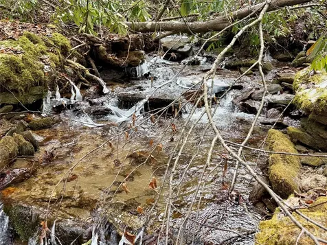 581 Hubbard Hollow Road Rosman NC 28772