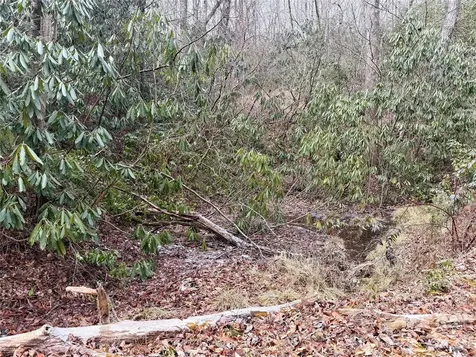 581 Hubbard Hollow Road Rosman NC 28772