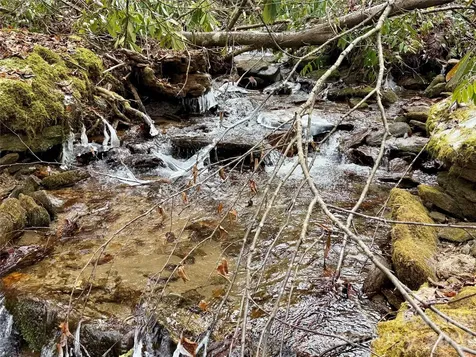 581 Hubbard Hollow Road Rosman NC 28772