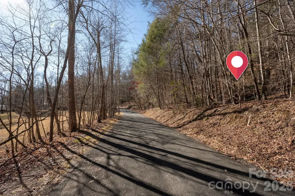 171 Deerfield Drive Lake Lure NC 28746