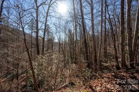 171 Deerfield Drive Lake Lure NC 28746