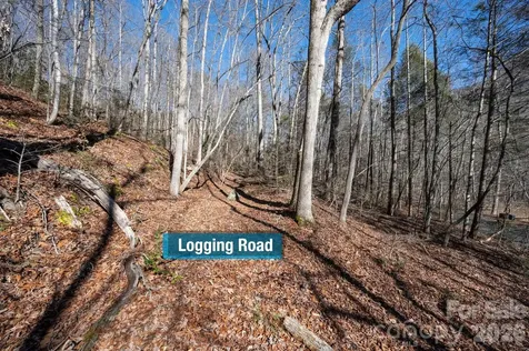 171 Deerfield Drive Lake Lure NC 28746