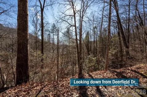 171 Deerfield Drive Lake Lure NC 28746