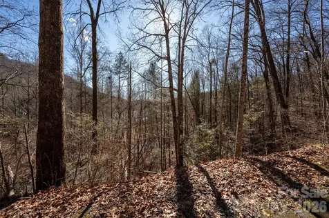 171 Deerfield Drive Lake Lure NC 28746