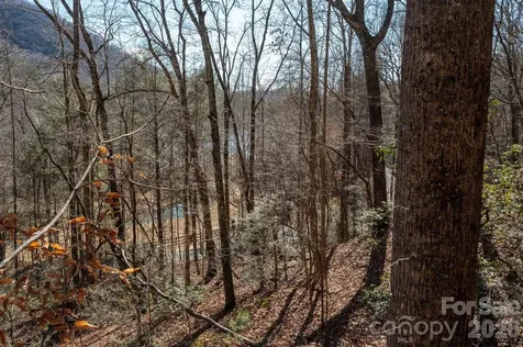 171 Deerfield Drive Lake Lure NC 28746