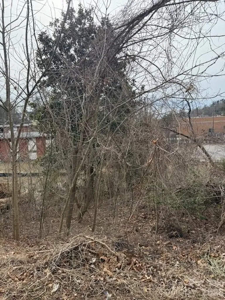 37 Johnson Drive Asheville NC 28804