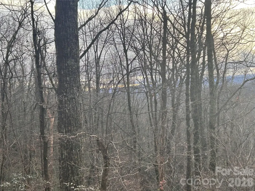 0 Pine Ridge Road Hendersonville NC 28792