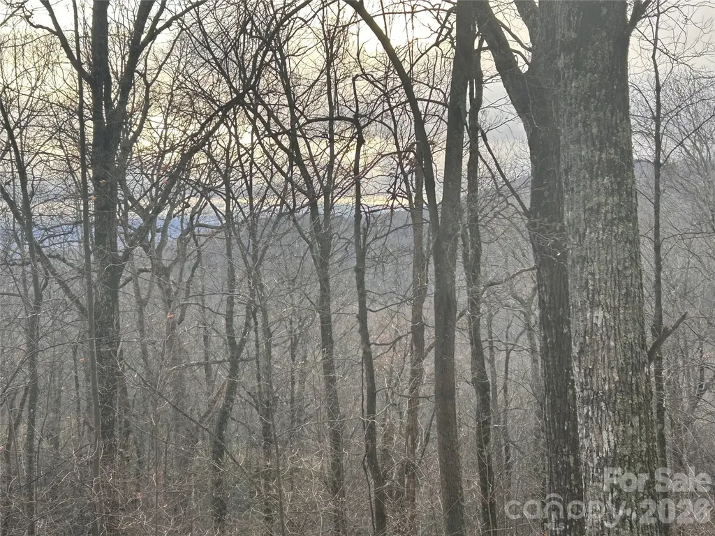 0 Pine Ridge Road Hendersonville NC 28792