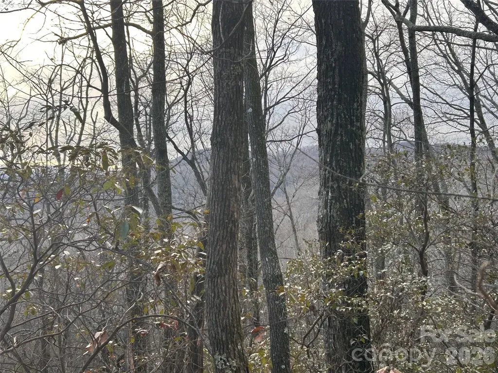 0 Pine Ridge Road Hendersonville NC 28792