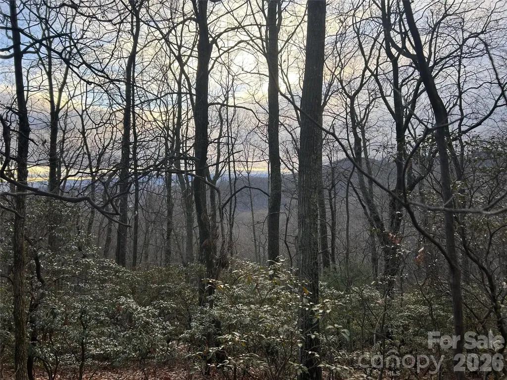 0 Pine Ridge Road Hendersonville NC 28792