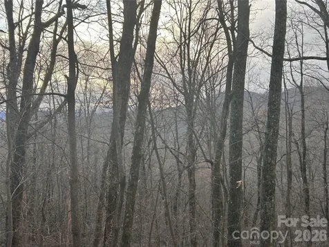 0 Pine Ridge Road Hendersonville NC 28792