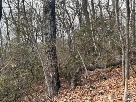 0 Pine Ridge Road Hendersonville NC 28792