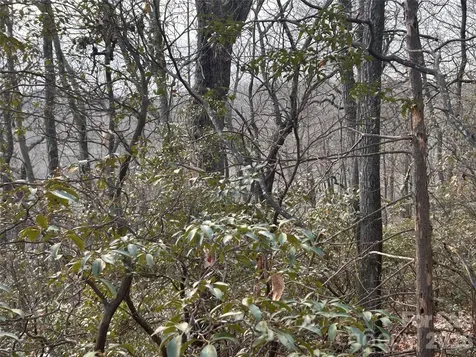 0 Pine Ridge Road Hendersonville NC 28792
