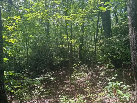 0 Pine Ridge Road Hendersonville NC 28792