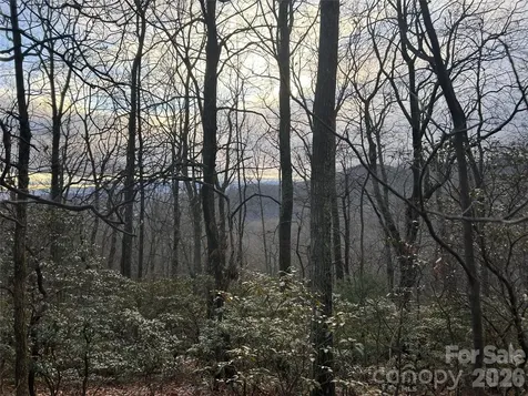 0 Pine Ridge Road Hendersonville NC 28792