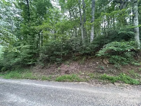 0 Pine Ridge Road Hendersonville NC 28792
