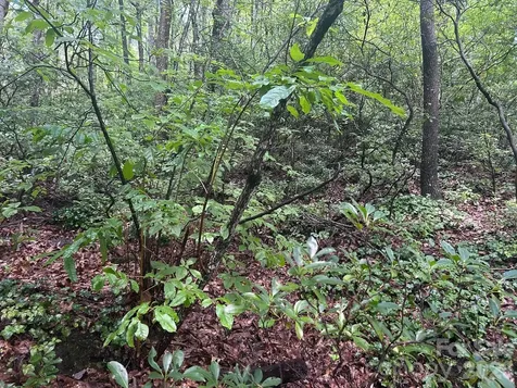 0 Pine Ridge Road Hendersonville NC 28792
