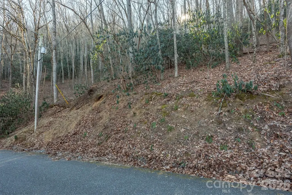 00 Wildflower Cove Road Swannanoa NC 28778