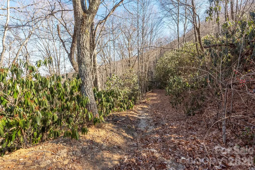 00 Wildflower Cove Road Swannanoa NC 28778